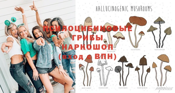 2c-b Белокуриха