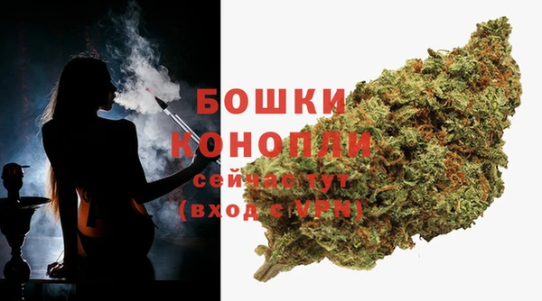 2c-b Белокуриха